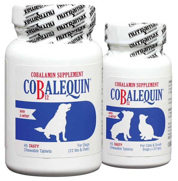 folate supplement for dogs